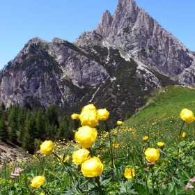 Връхче край Passo Falzarego