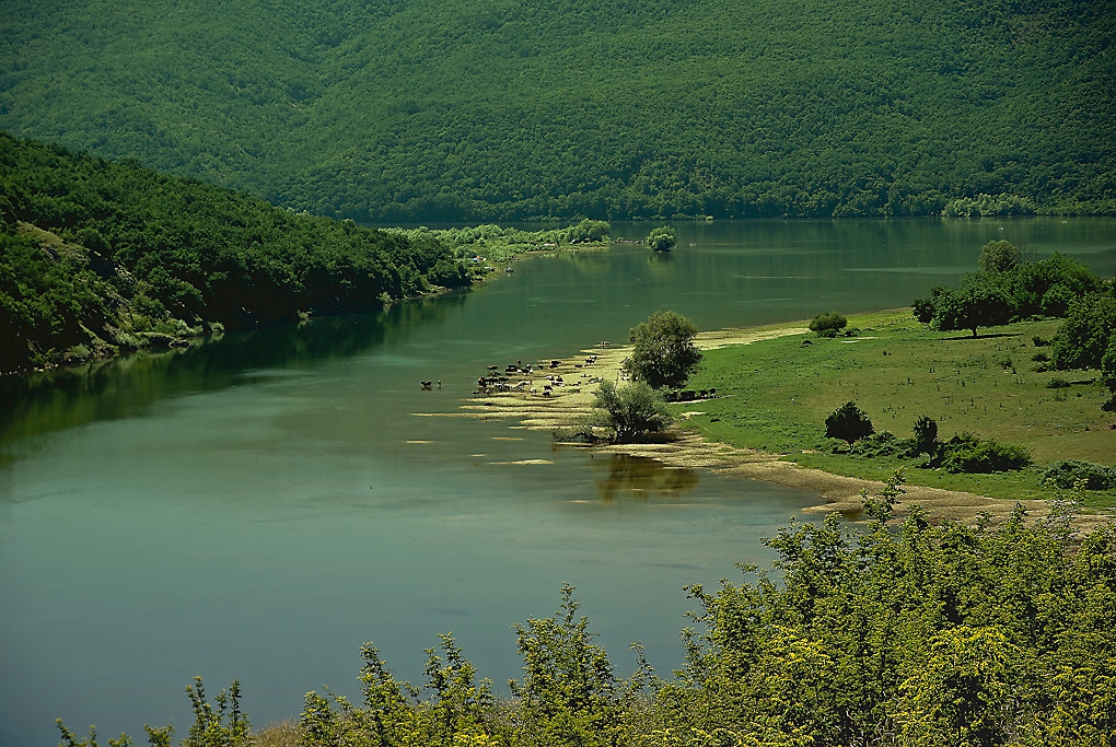 Река Арда