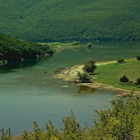 Река Арда