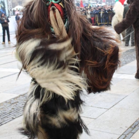 kukeri 2010