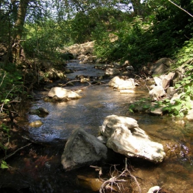 Реката