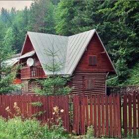 Листец, листец, зелен листец, буково дръвце