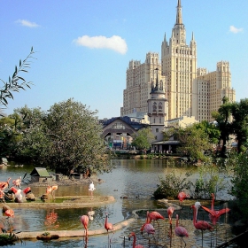 Московский зоопарк