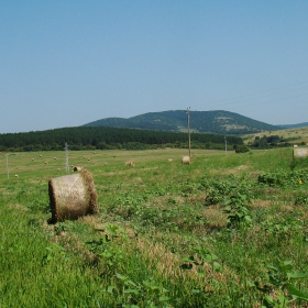 Полета с търкалета