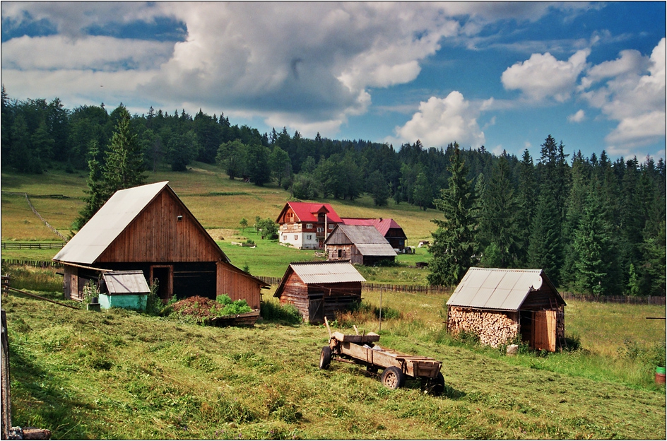 В разгара на лятото