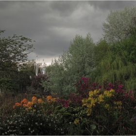 St. James' park - Flora