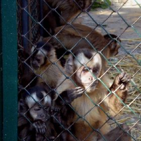 Behind bars ***