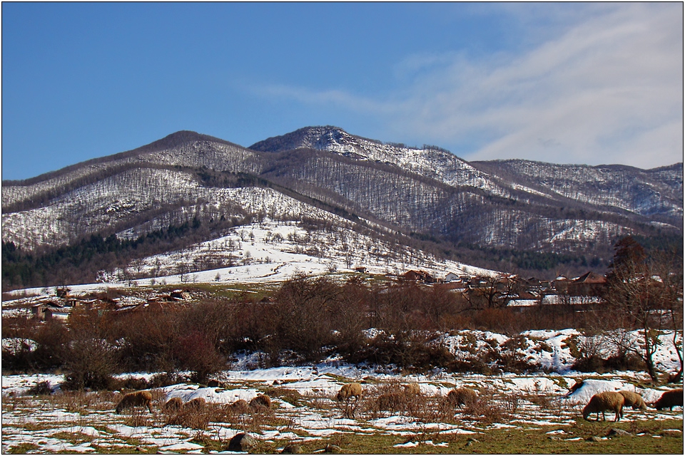 край Вършец