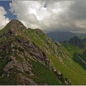 От торбата, случайно бръкната...