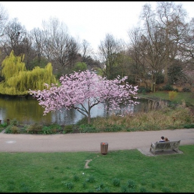 Tranquility- St. James's Park