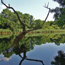 Край Велека