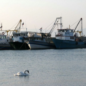 в спокойни води