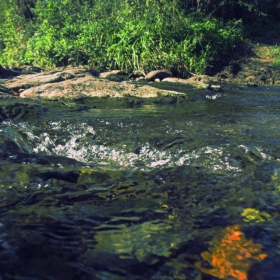 Водовъртеж