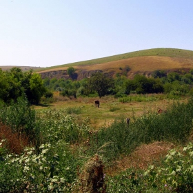 Едно малко селце в Северна България