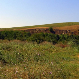 Българско село