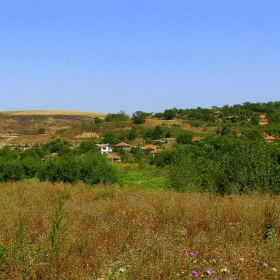 село Беляново, Община Бяла, Област Русе