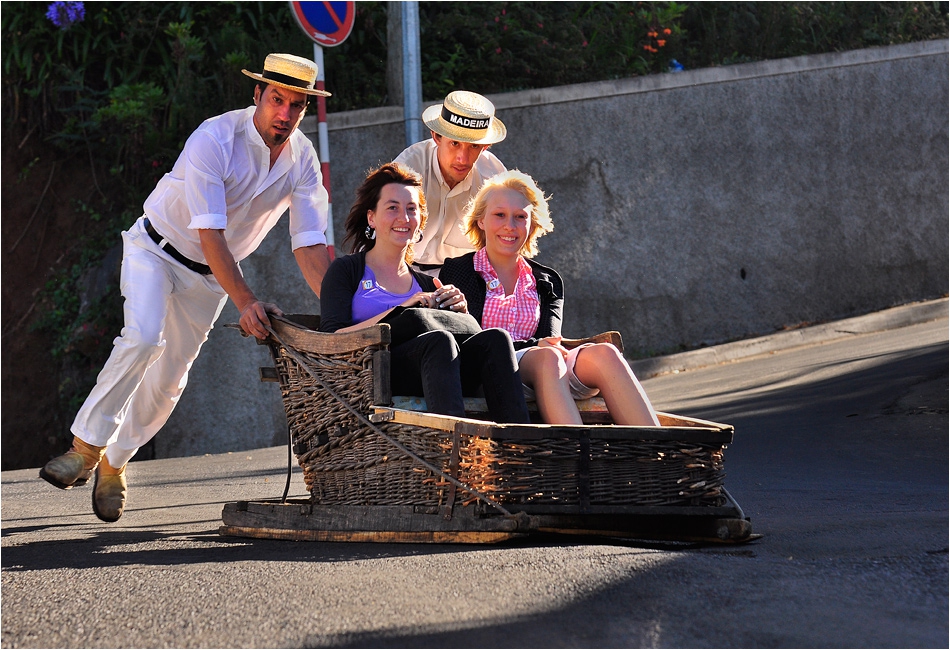 CARROS DE CESTO
