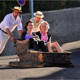 CARROS DE CESTO