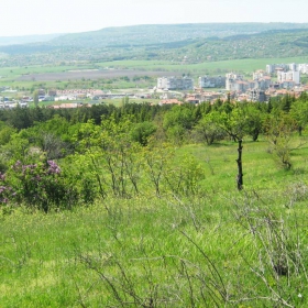 Градът