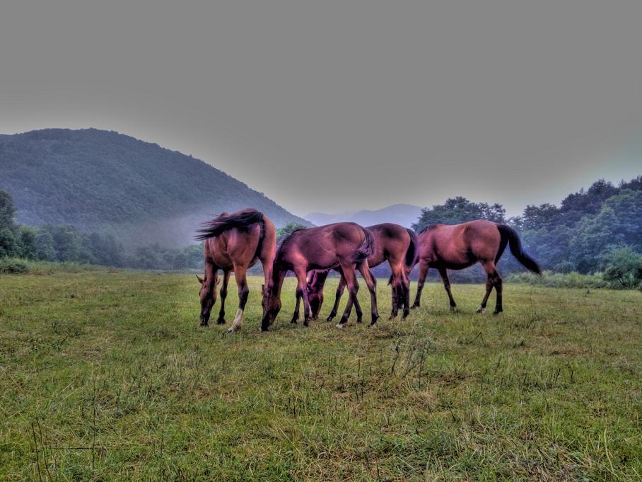 Предбурно- HDR