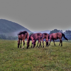 Предбурно- HDR