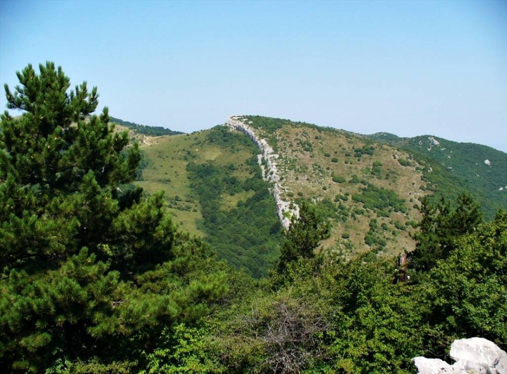 Хребет