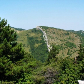 Хребет