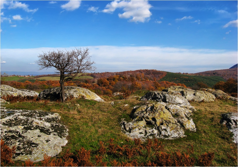 Талим таш