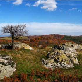 Талим таш