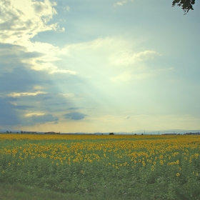 Залезно край 