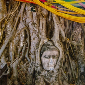 ..recuerdos.. (Thailand 1) В Аютая, сред руините на старата столица на Сиам, дървото поглъща камъка. Но Буда не изглежда притеснен.