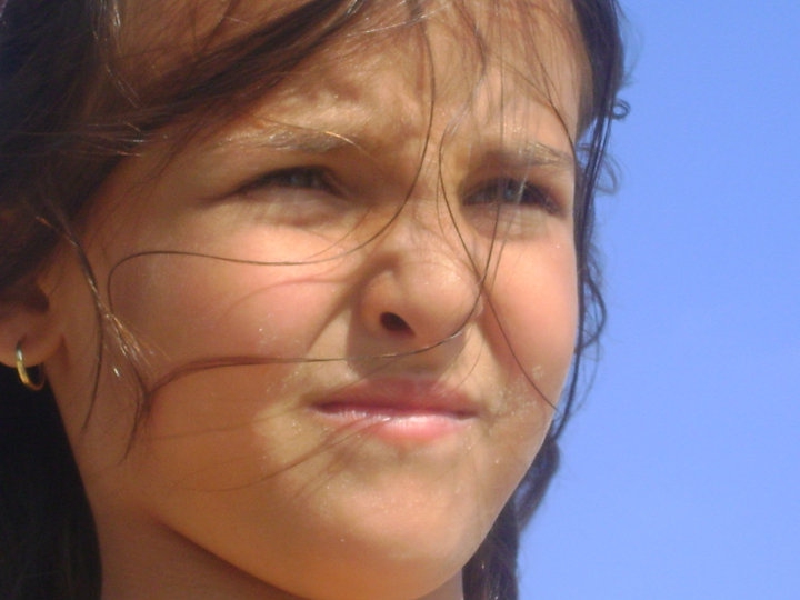 pogled
