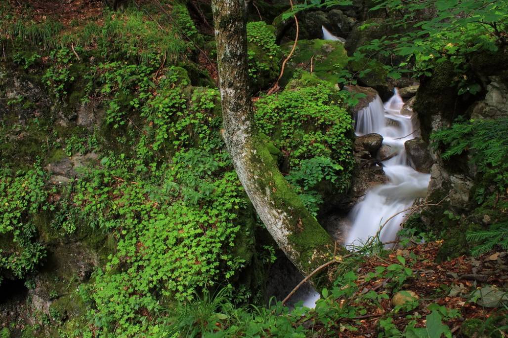 mountain river