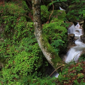 mountain river