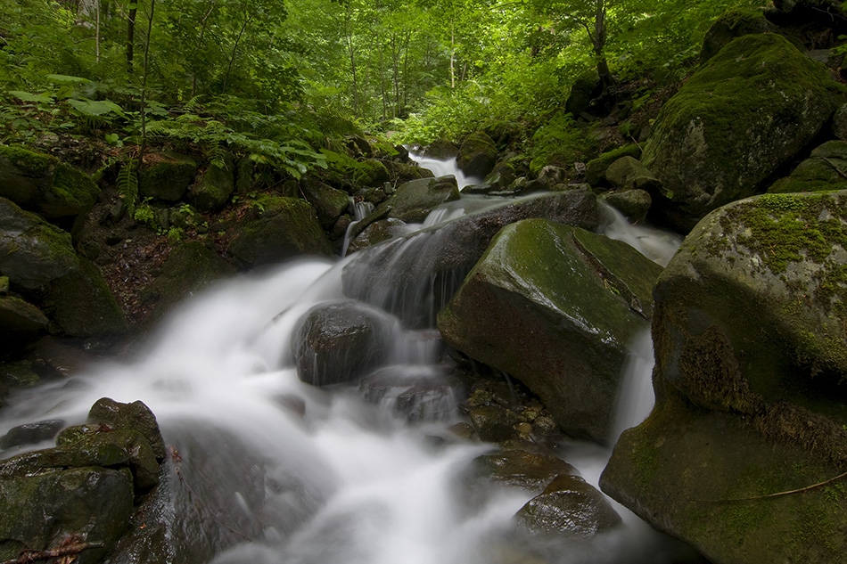 Stara planina