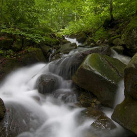 Stara planina