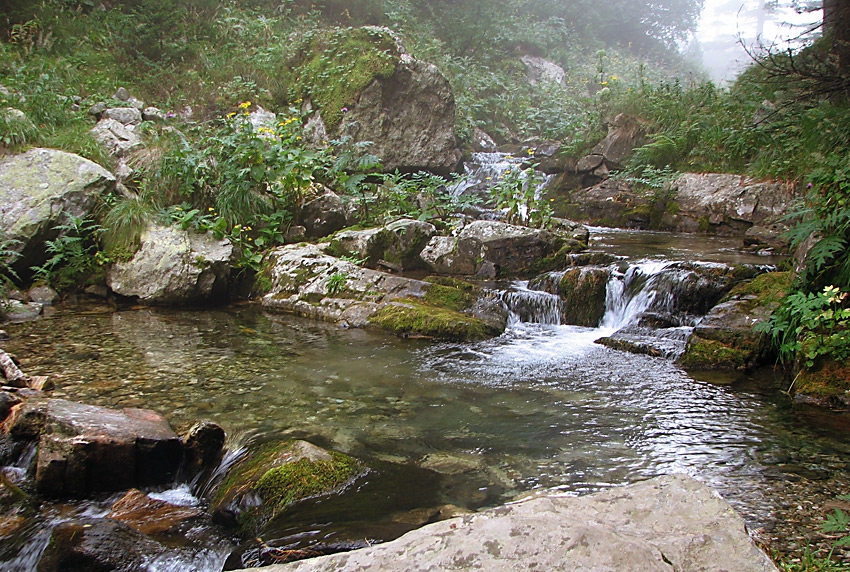 Скакавица