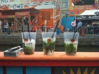 mojito verde
