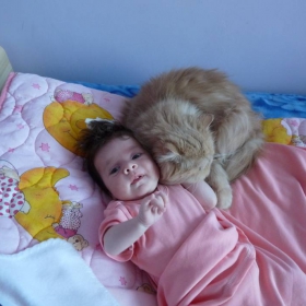 Снимка без име