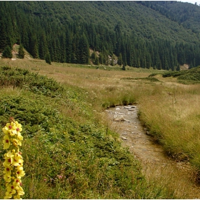 Само  ромонът  на водата се чуваше...