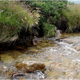 Само  ромонът  на водата се чуваше...-2