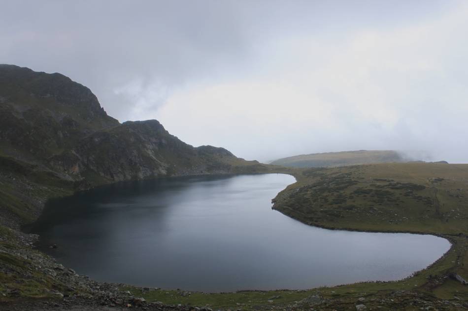 Бъбрека