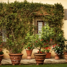 Toscana