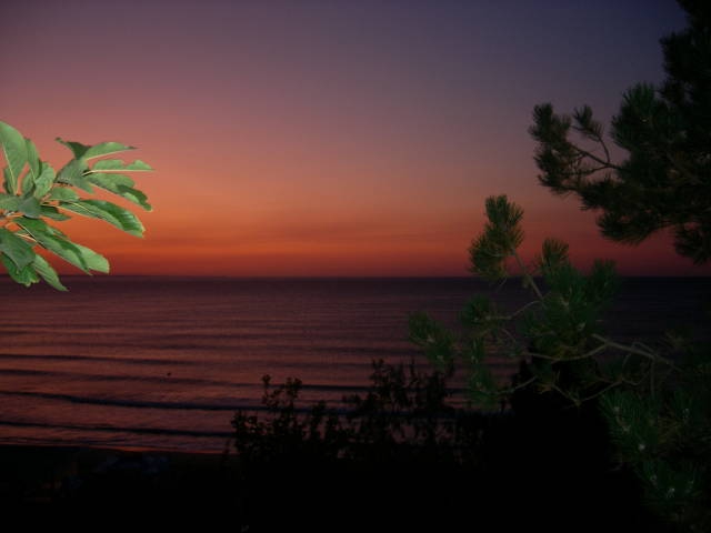 Кранево-2009 - на зазоряване