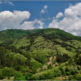 от пролетта