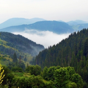 Мъглата настъпва