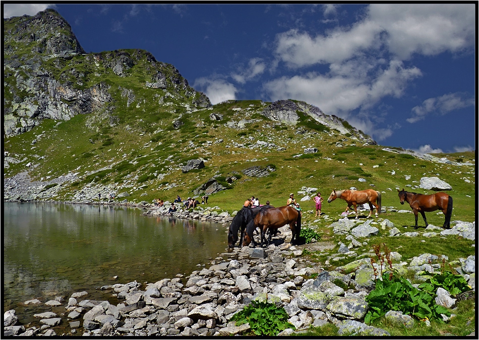 Край Бъбрека