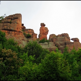 Ученичката
