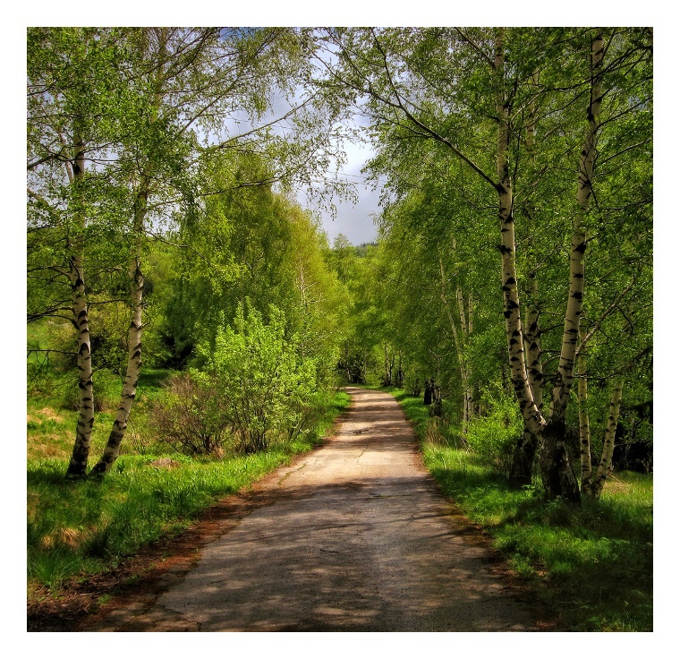 Снимка без име