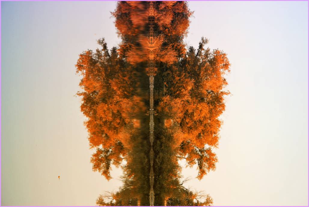 Deity